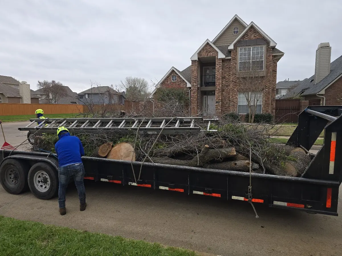 Expert Tree Pest Control with proper safety equipment in Uxbridge